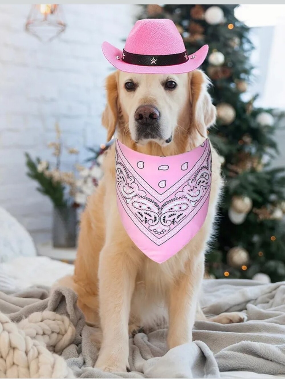 Dog Or Cat Pink Cowboy Hat And Bandana Set S, L